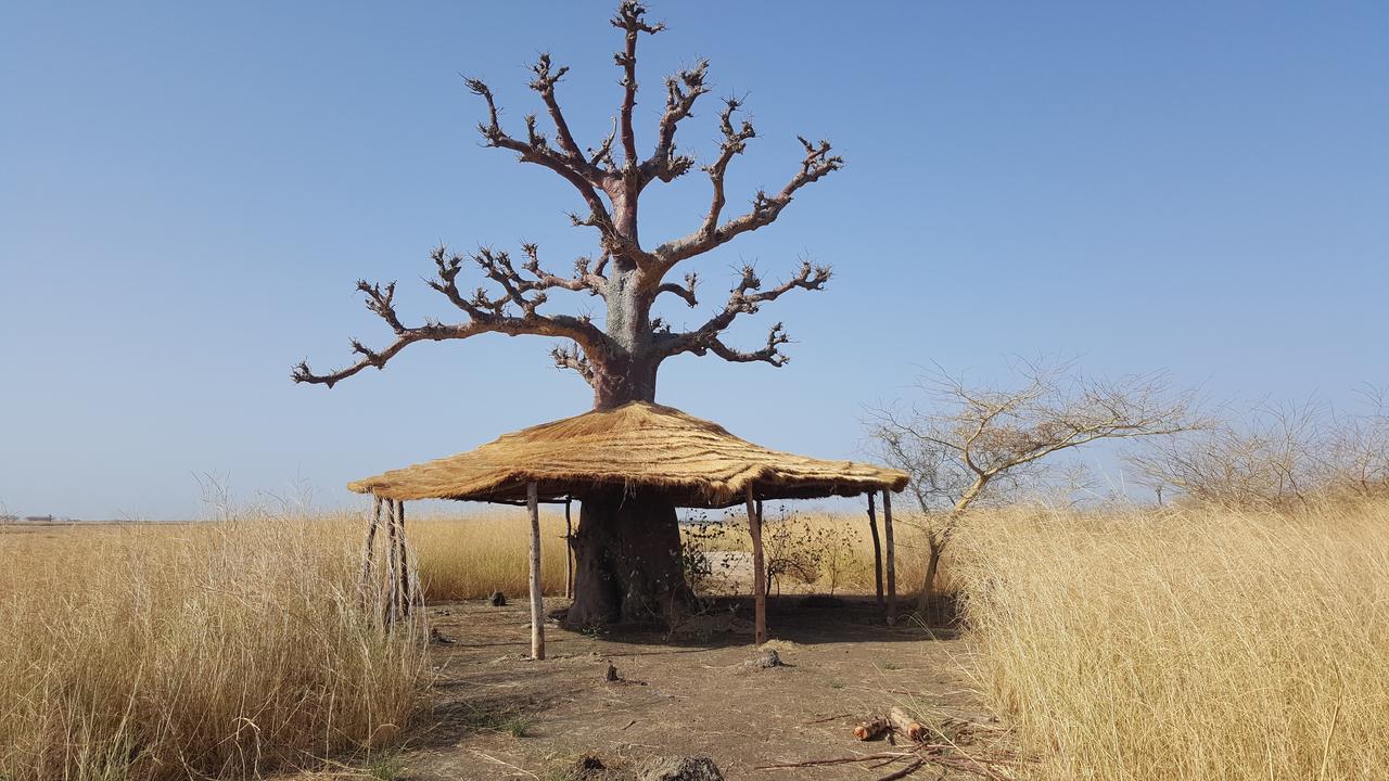 Ecolodge De Simal Bagian luar foto