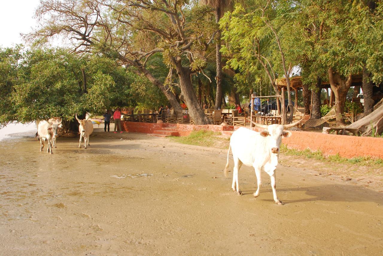 Ecolodge De Simal Bagian luar foto