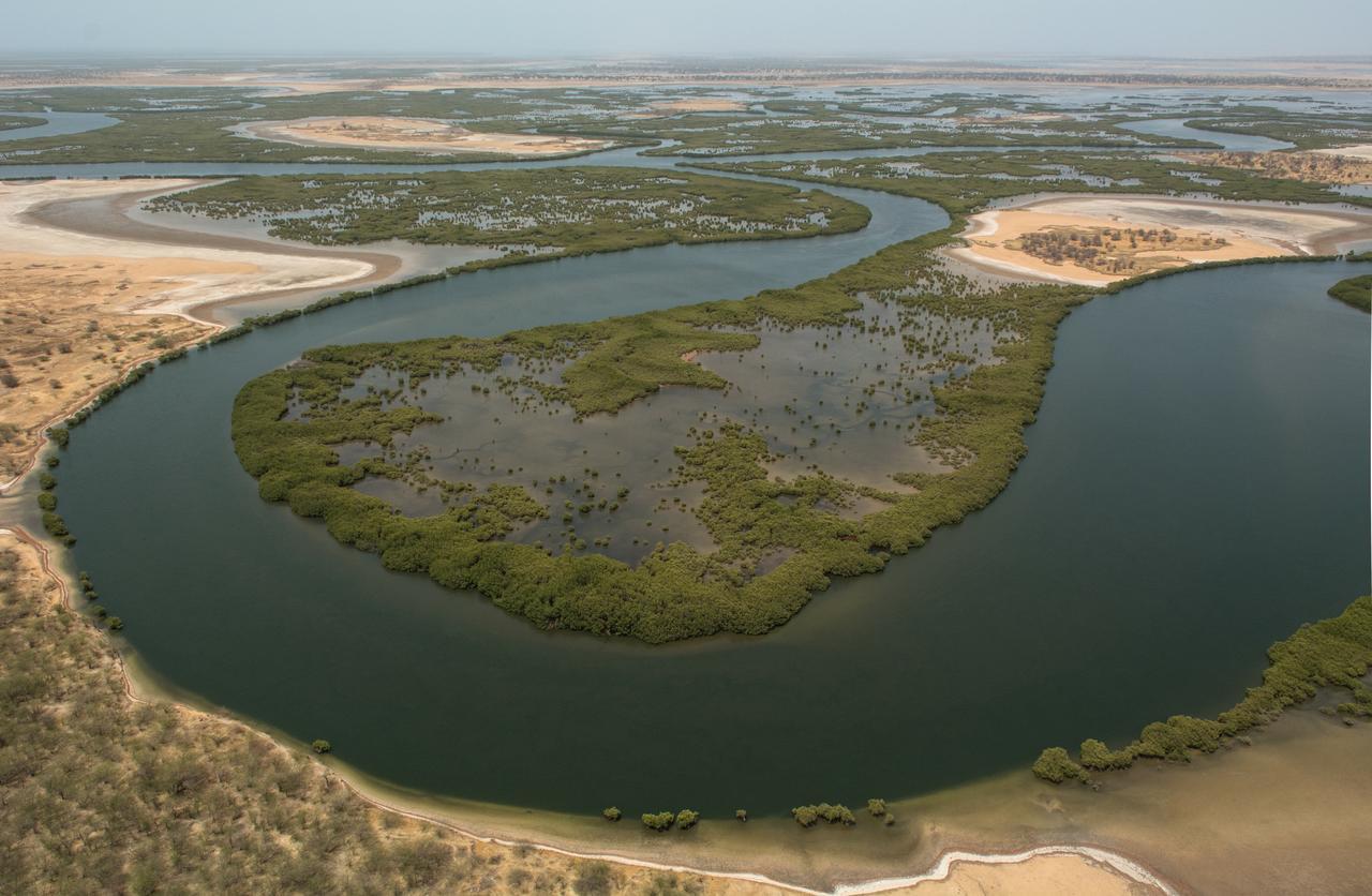 Ecolodge De Simal Bagian luar foto