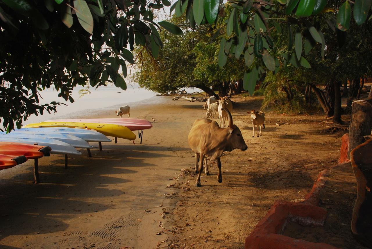 Ecolodge De Simal Bagian luar foto