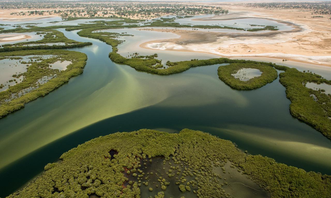 Ecolodge De Simal Bagian luar foto