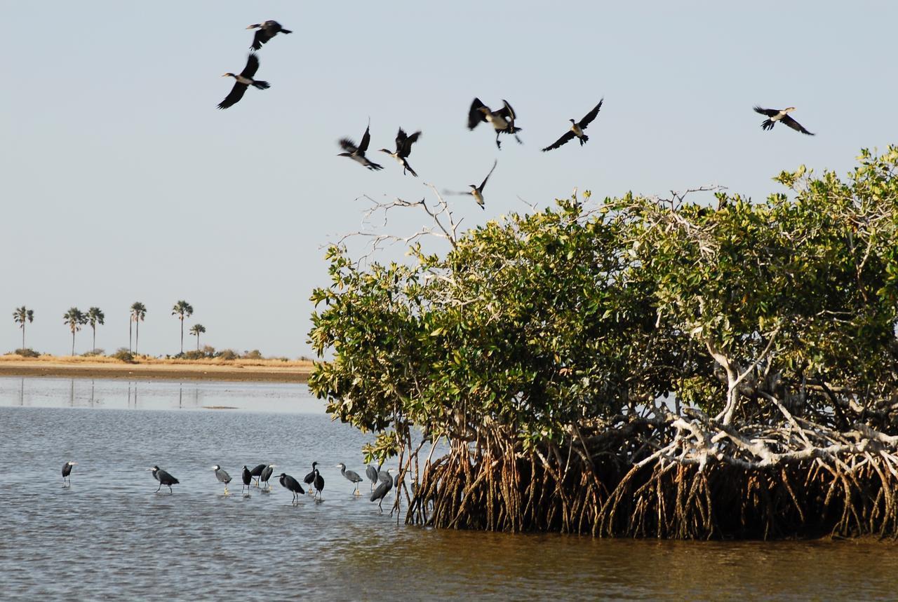 Ecolodge De Simal Bagian luar foto