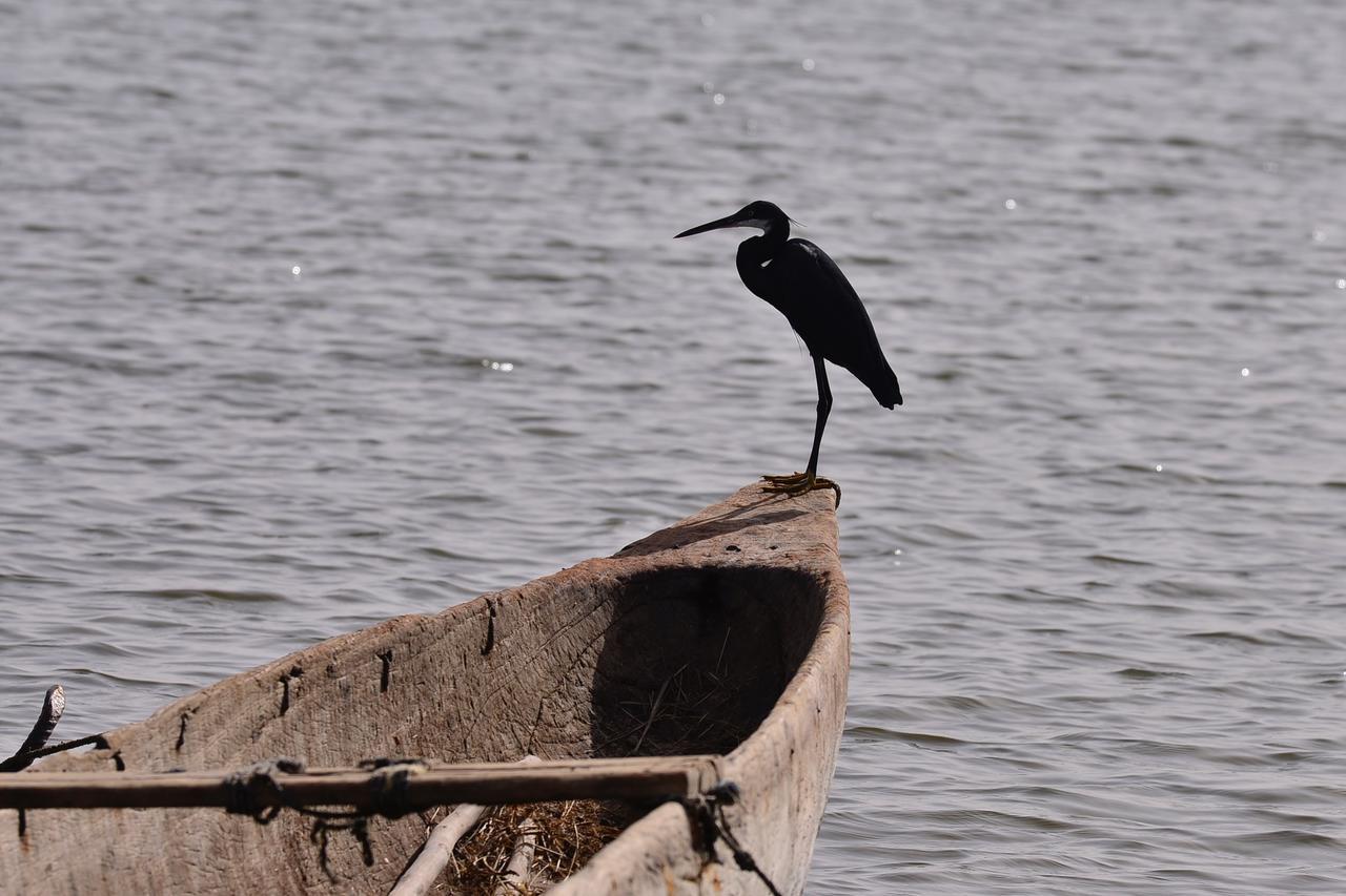 Ecolodge De Simal Bagian luar foto