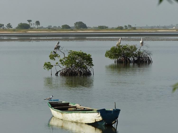 Ecolodge De Simal Bagian luar foto