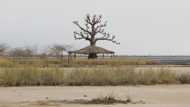 Ecolodge De Simal Bagian luar foto